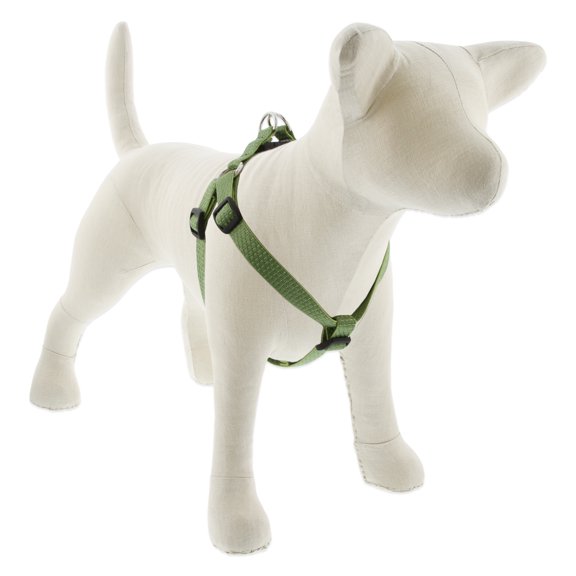 3/4in Moss 20-30 Step In Dog Harness