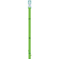 Lupine 3/4 In. x 6 Ft. Waterproof Neon Green Dog Leash 28309