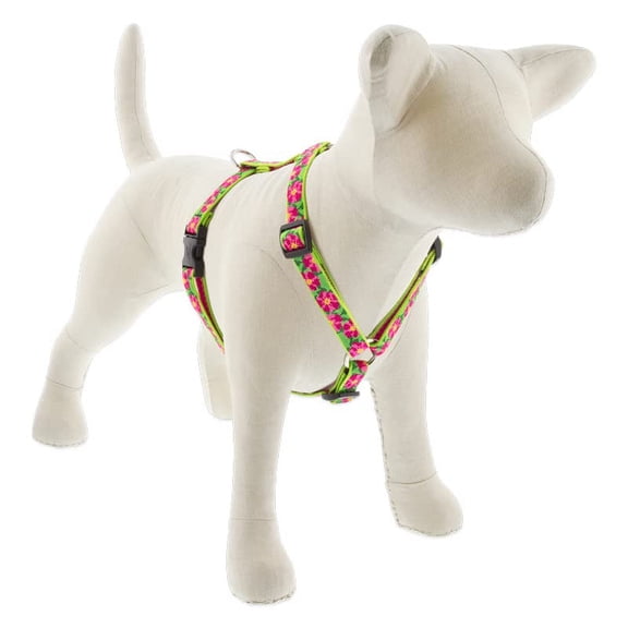 Lupine Adjustable Dog Harness with in 3/4" Wide Petunias 14-24" Girth