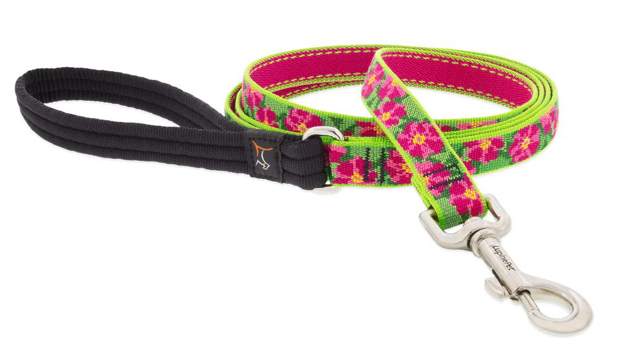 Lupine Dog Leash 6-Foot by 3/4" Wide Petunias