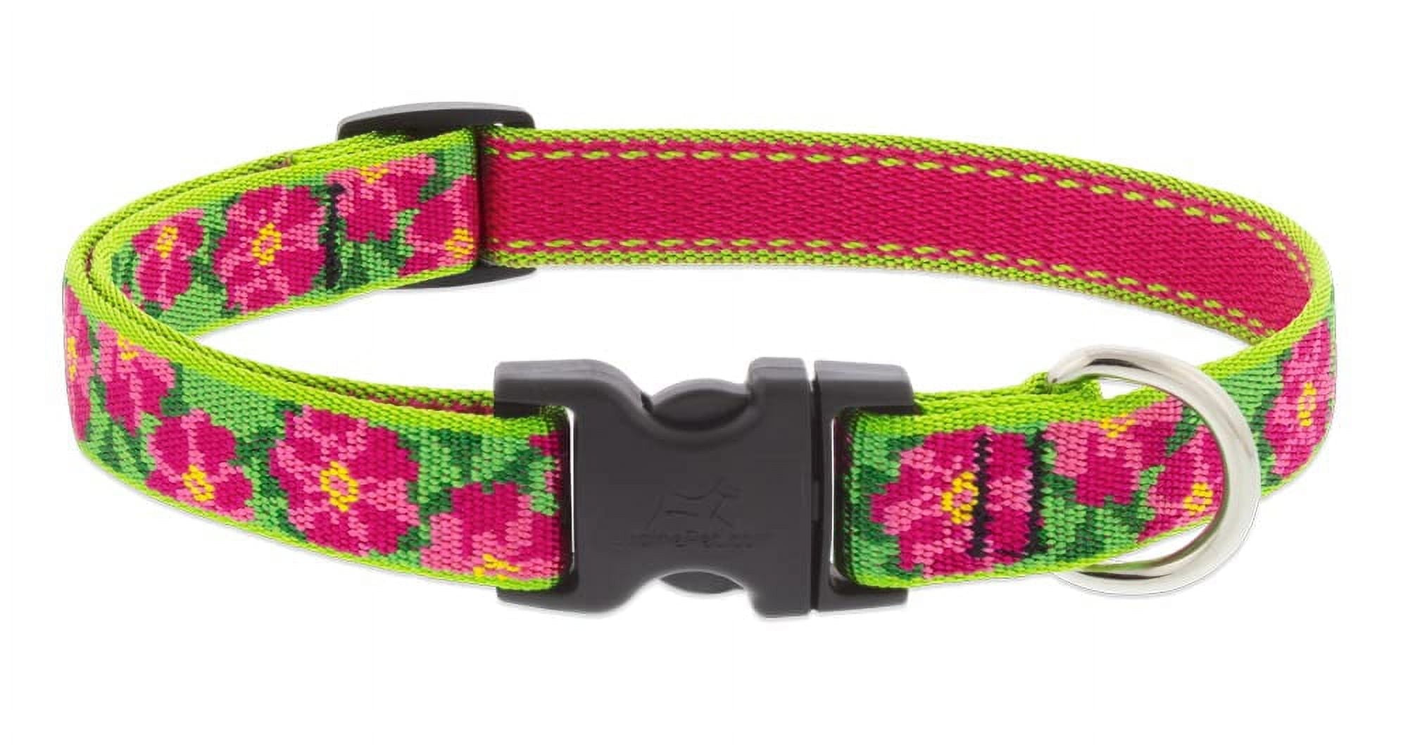 Lupine Small Dog Collar 3/4" wide Petunias design Adjusts from 9" to 14"