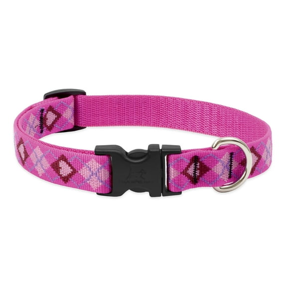 LupinePet Dog Collar: Lifetime Guarantee, Adjustable, & Stylish Designs Puppy Love / 13-22" / 3/4"