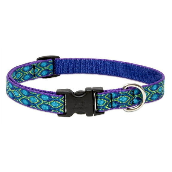 Lupine Small Dog Collar 3/4" Wide Rain Song Adjusts from 9" to 14"