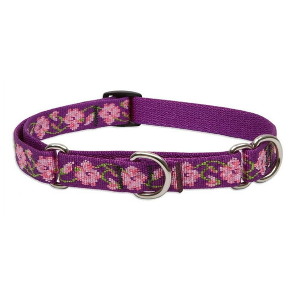 LupinePet Originals 3/4" Rose Garden 10-14" Martingale Collar for Small Dogs