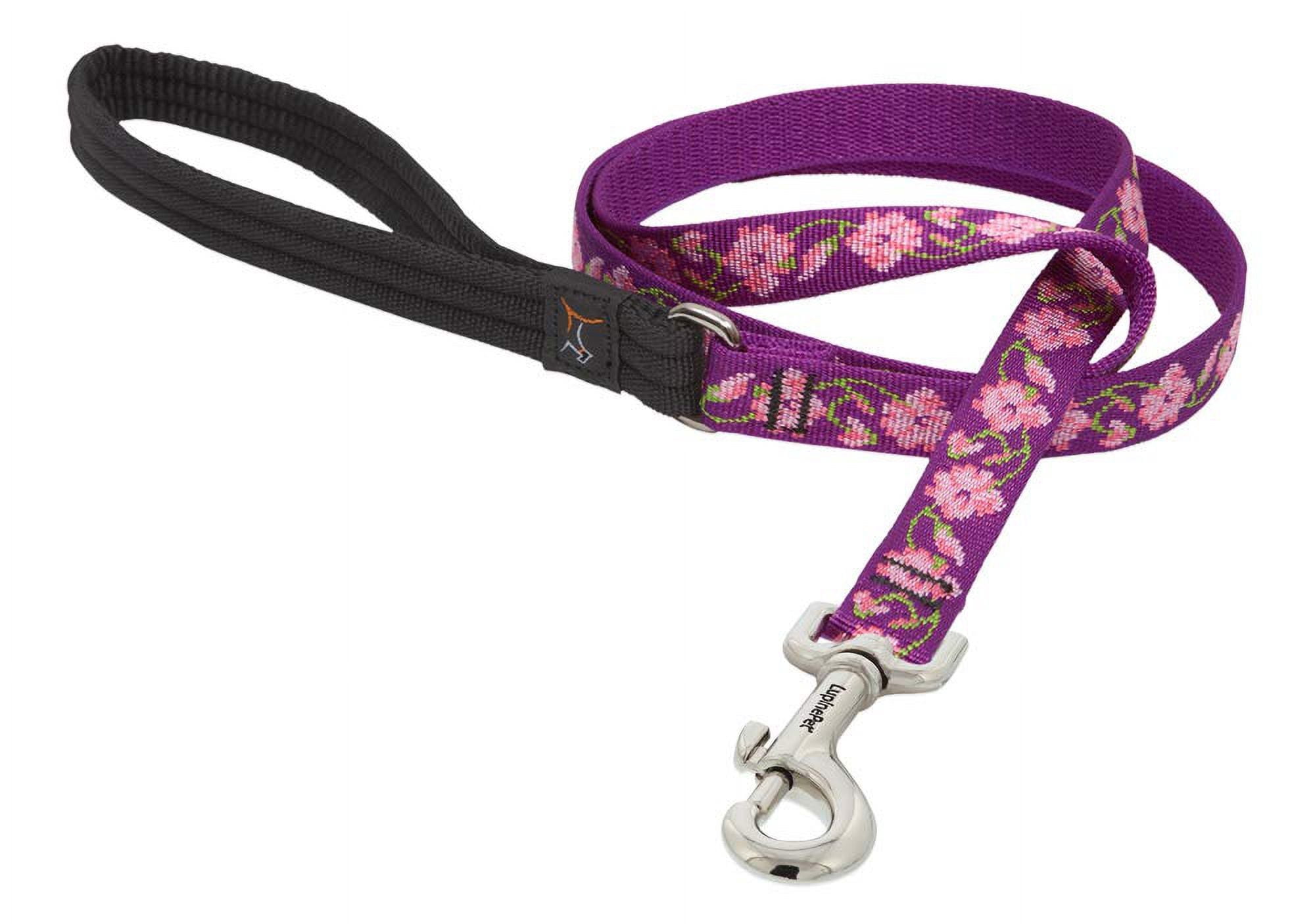 LupinePet Originals 3/4" Rose Garden 4-Foot Padded Handle Leash for Medium and Larger Dogs