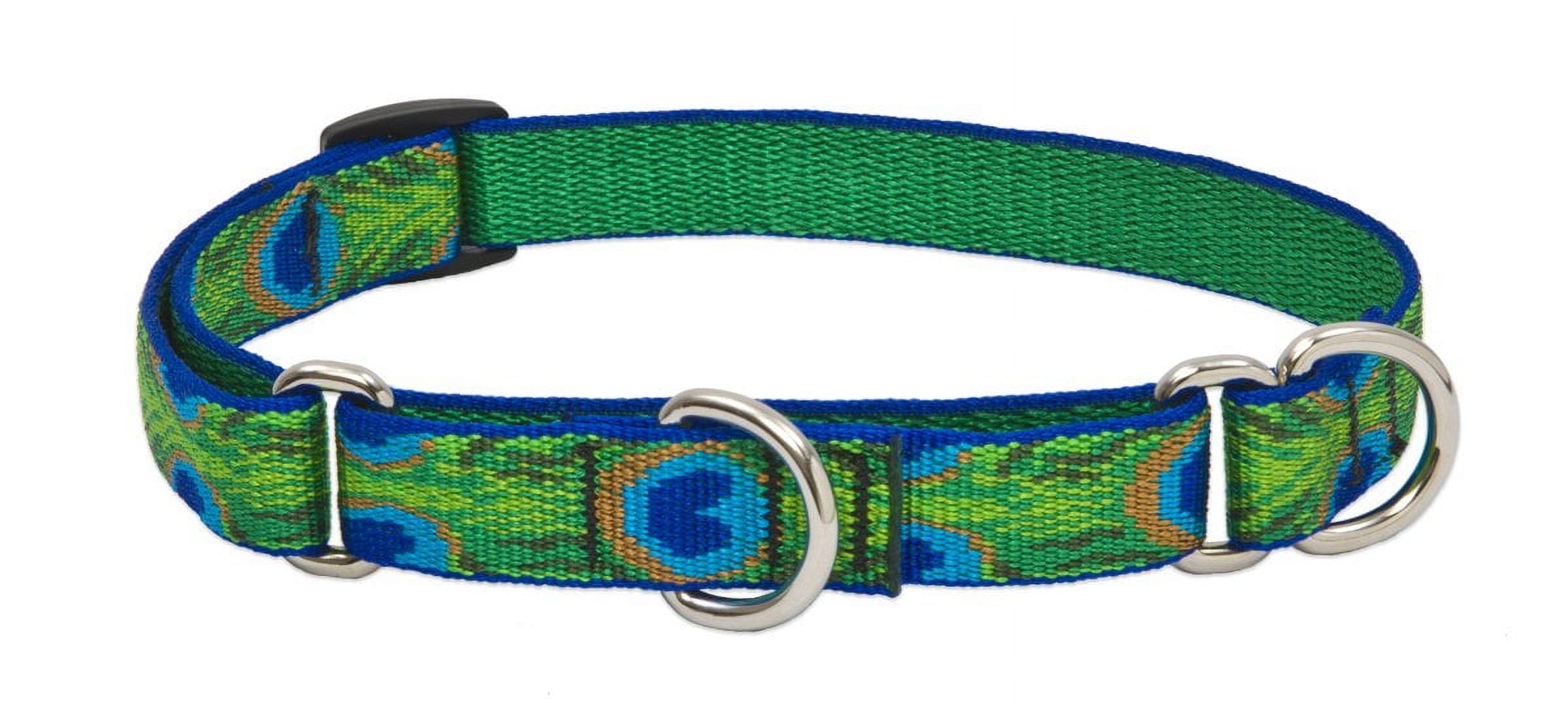 LupinePet Originals 3/4" Tail Feathers 10-14" Martingale Collar for Small Dogs