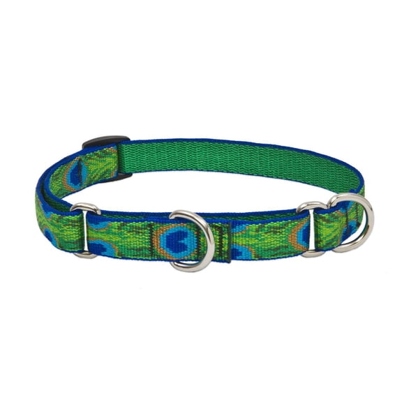 LupinePet Originals 3/4" Tail Feathers 10-14" Martingale Collar for Small Dogs