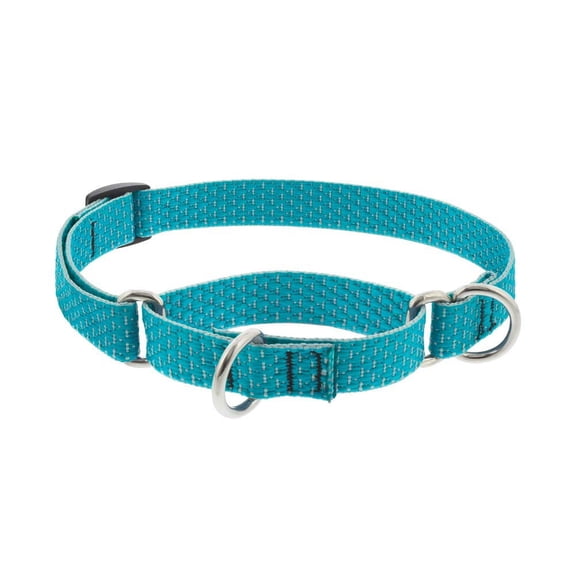 3/4in Tropical Sea 14-20 Martingale Dog Collar