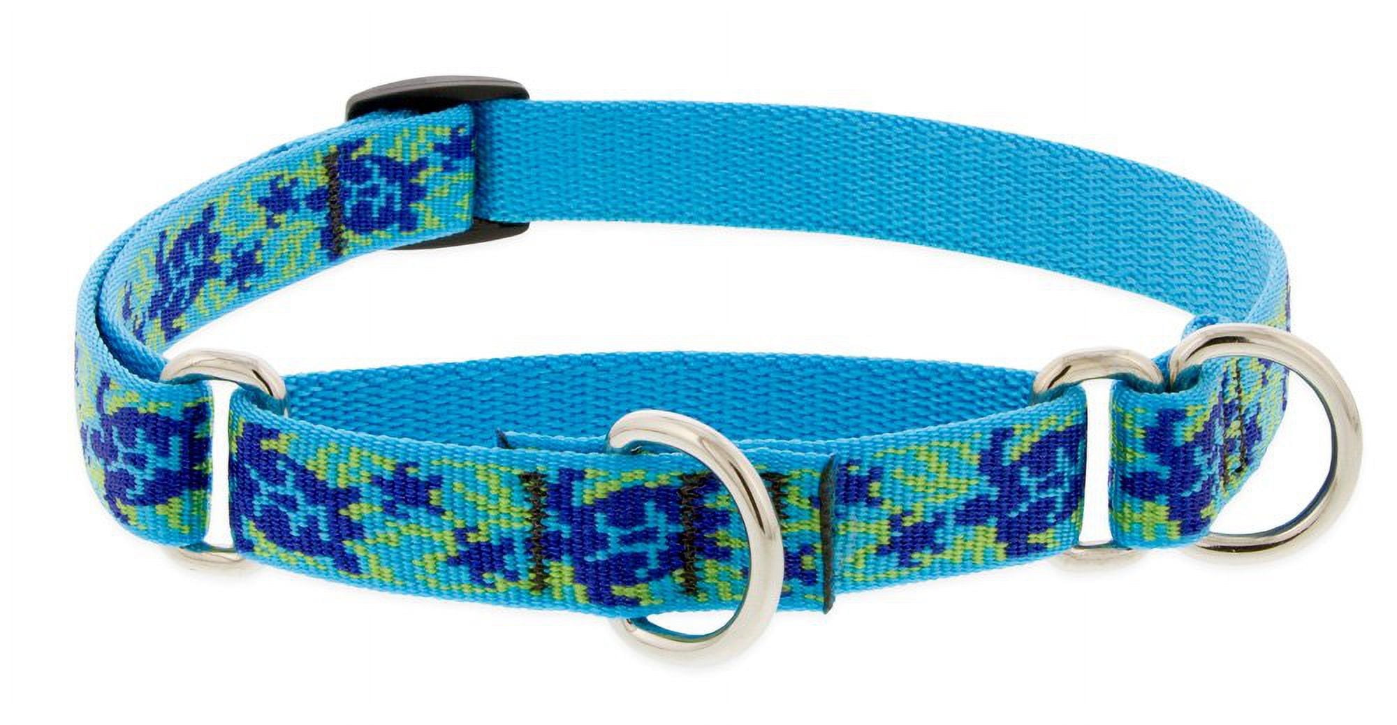 LupinePet Originals 3/4" Turtle Reef 10-14" Martingale Collar for Small Dogs