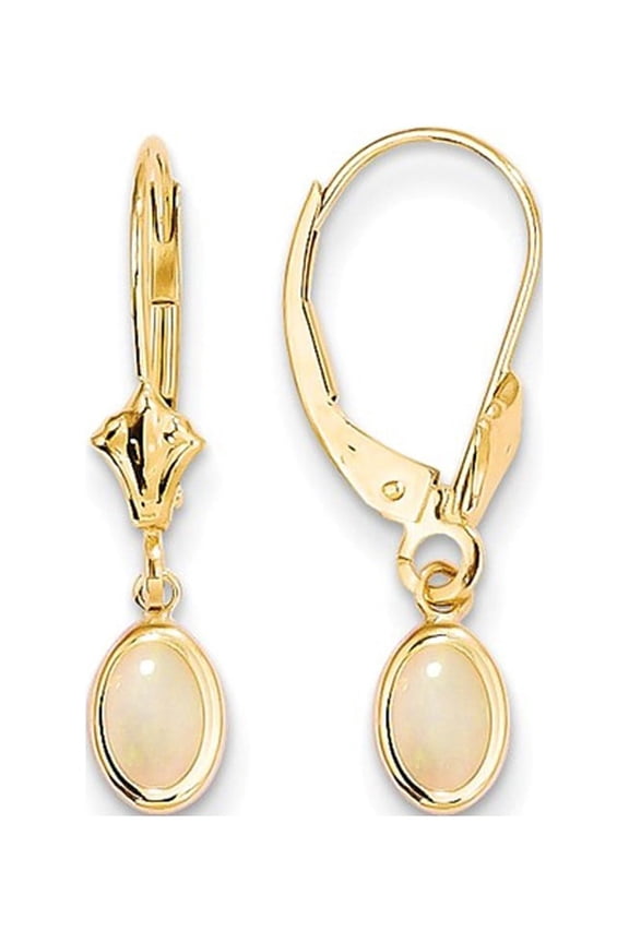 Gem & Harmony 3/5 Carat (Ctw) Opal Drop Dangle Earrings in 14K Yellow Gold for Women
