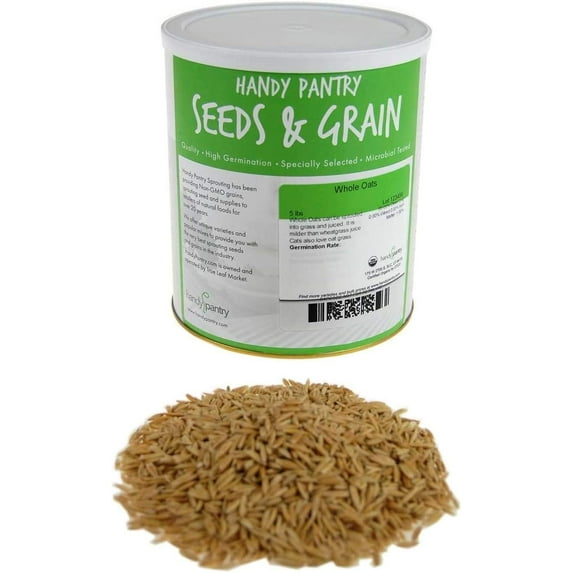 3.5 Lb Non-GMO Organic Whole Oat Groats (w/ Husk) - Gluten Free Organic Oats - Whole Oats Organic for Sprouting, Steel Cut Oats Organic, Oat Berries, Oat Flour Organic, Oat Rice, and Livestock Feed 3.5 Pound (Pack of 1)