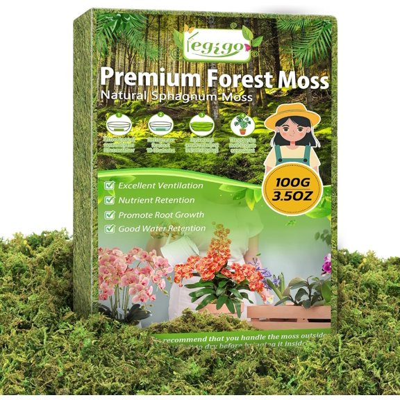 3.5 OZ Green Moss for Crafts, Real Forest Moss for Plants Indoor, Table Decorative Centerpieces, Artificial Fairy Garden, Wedding Party Decor, Fake Potted Plants and DIY Craft Projects