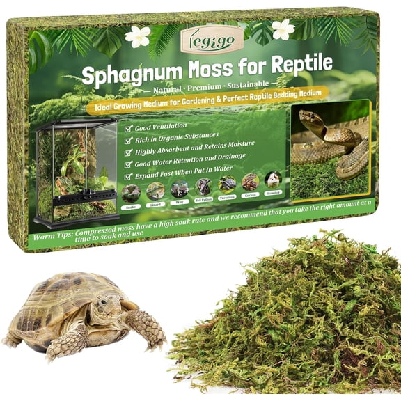 3.5 OZ Sphagnum Moss for Reptile- 4 QT Natural Reptile Moss Terrarium Moss Substrate, Snake Tank Moss Peat Moss Reptile Bedding for Snake, Gecko, Ball Python, Frog and Orchids Plants