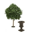 thumbnail image 1 of 3.5 ft. Sweet Bay Single Ball Topiary in Large Rust Fiberglas Classic Urn, 1 of 1