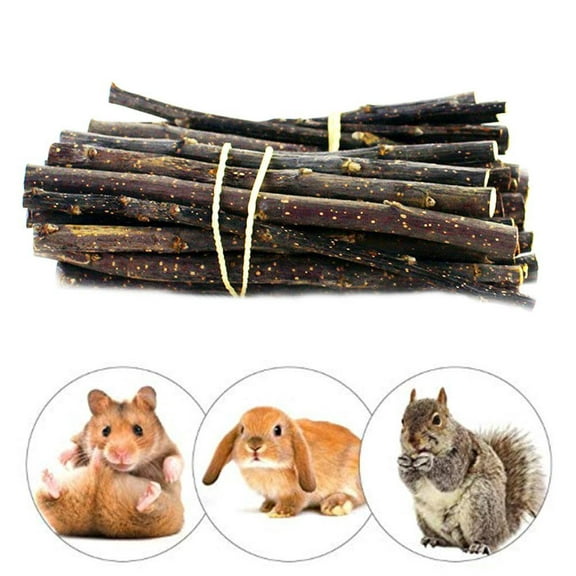 3.5oz Nature Apple Sticks Pet Chew Toys Small Animals Molar Toys