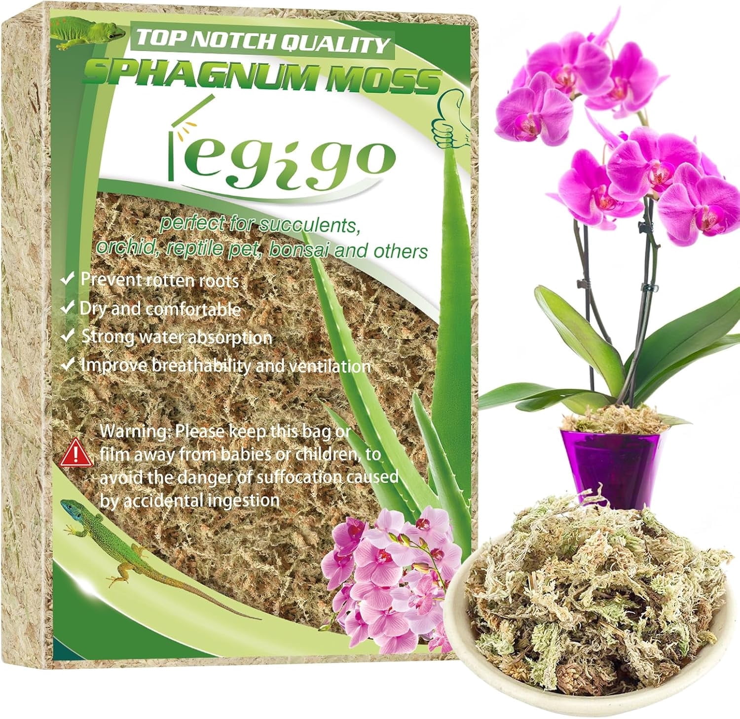 where to buy strawberry seeds Alpine Regina Strawberry Seeds 2 Packets