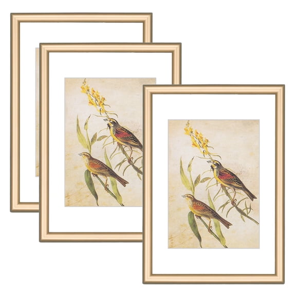 3.5x5 Brpicture Frames 3pk Fits 2.5x3.5 Mat Tabletop Wall