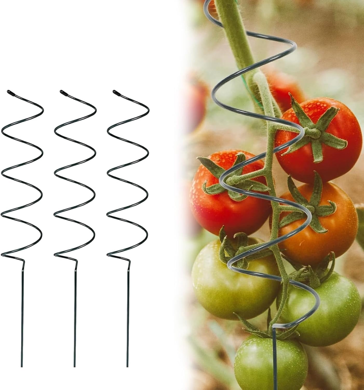 Tutore A Spirale Per Pomodori – Palo Attorcigliato In Ferro Verde, Per Piante Rampicanti E Fiori