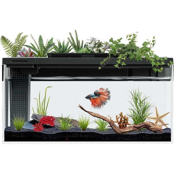 3.7 Gallon Betta Fish Tank self Cleaning,Smart Aquarium Aquarium kit with Filter Light Water Pump