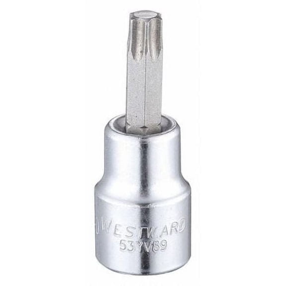 3/8" Drive, T40 Tip, Socket Bit, 6 Pts.
