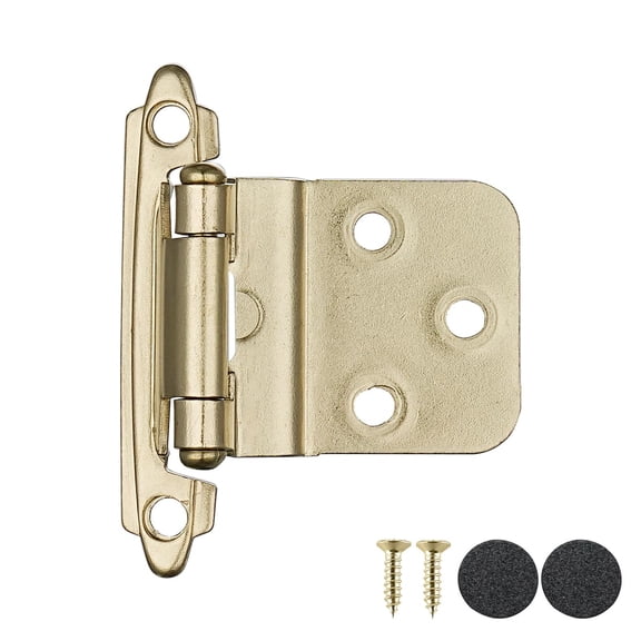 3/8 Inch Inset Cabinet Door Hinges Black, 20 Pack 10 Pairs Flush Face Mount Cupboard Kitchen Hardware Hinges Max fit 9mm/0.375” Step Door, CH201-BK-P20