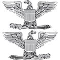 thumbnail image 1 of 3.8 Inch USMC O-6 'Bird' Colonel Officers Rank Vinyl Transfer Decal Pair, 1 of 1