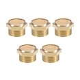 thumbnail image 1 of 3/8 PT Sintered Bronze Exhaust Muffler with Brass Body Flat 5pcs, 1 of 5