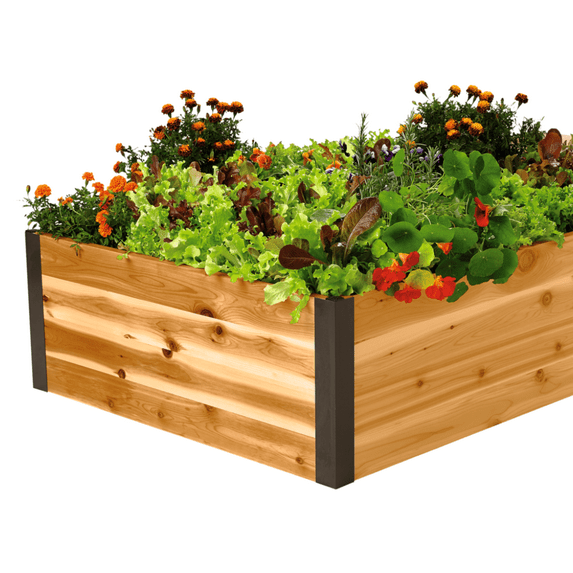 Gardener's Supply Company Deep Root Cedar Raised Garden Bed - 3' x 8' Planter Box