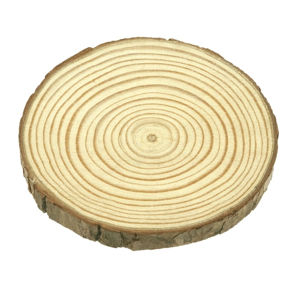 3.875" Pinewood Slices by Make Market Unfinished Wood with Natural Bark Edges for Painting - Staining - Decoupage & DIY Crafts - 12 Pack