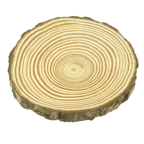 3.875" Pinewood Slices by Make Market – Unfinished Wood with Natural Bark Edges for Painting - Staining - Decoupage & DIY Crafts - 12 Pack
