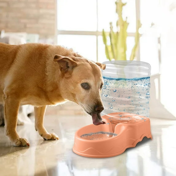 3.8L Automatic Pet Water Dispenser for Dogs & Cats - Gravity Flow Water Feeder with Non-Slip Base, Leak-Proof Design, Easy-Clean Transparent Plastic Bottle