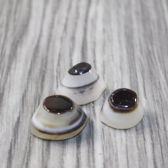 3 Agate Eyes #2942 Naturally Formed