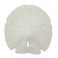 thumbnail image 1 of 3 Arrowhead Sand Dollars Real Natural XL Florida Gulf Bulk Lot 5-5.5" (Set of 3), 1 of 3