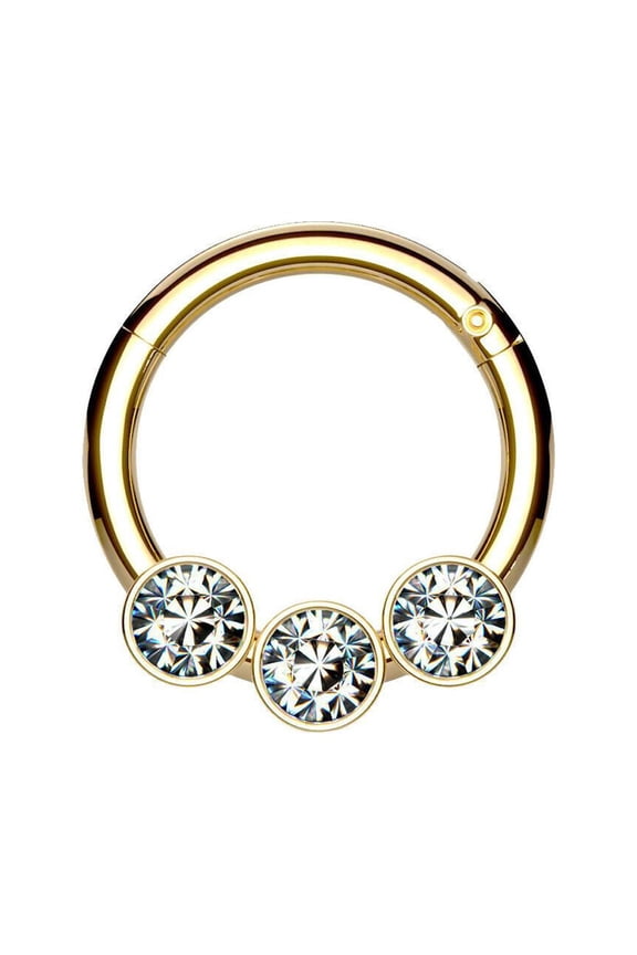 3 Bezel Set Crystals on Surgical Steel Hinged Segment Hoop Rings