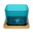 thumbnail image 1 of 3" Blue Sapphire Succulent Pot with Bamboo Saucer (3 Pack) by rePotme, 1 of 3