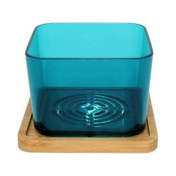 3" Blue Sapphire Succulent Pot with Bamboo Saucer (3 Pack) by rePotme