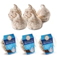 thumbnail image 1 of 3 Boxes Chocolate Chip Meringues Cookies Snacks Sweets Gluten Fat Free Kosher, 1 of 7
