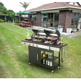 3Burner Propane Gas BBQ Grill with Side Burner, Combined with Charcoal