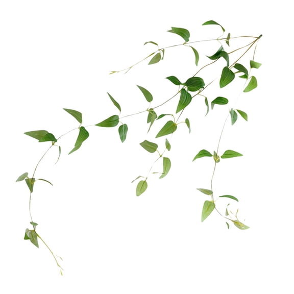 3 Count Artificial Plant for Wall Rattan Front Porch Decoration Long-lasting