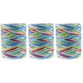 thumbnail image 1 of 3-Pack Decorative Raffia Yarn for Crochet, Rope Crafting, Unique Style and Material for Projects, 1 of 8