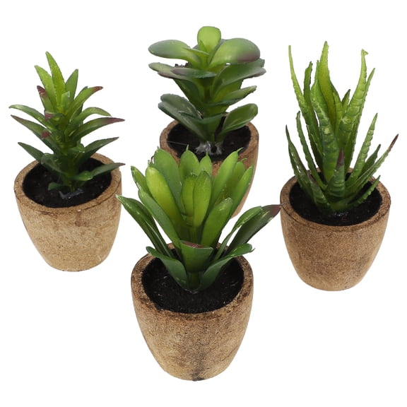 3 Count Desktop Simulation Succulent Bonsai Succulents Tree Plants Bride