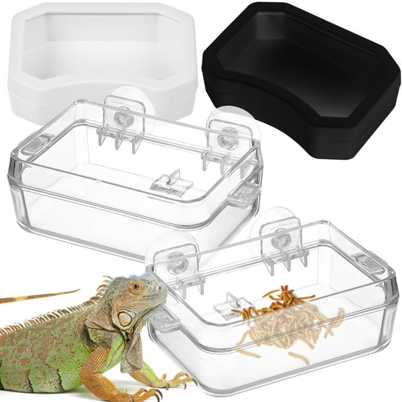 3 Count Suitable for Geckos Lizards Spiders Snakes Frogs and Other Reptiles