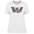 thumbnail image 1 of 3 Cute Shorthair Kittens T-Shirt Women -Image by Shutterstock, Female XX-Large, 1 of 2