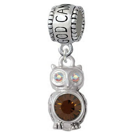 3-D Brown & AB Crystal Owl - God Can Charm Bead