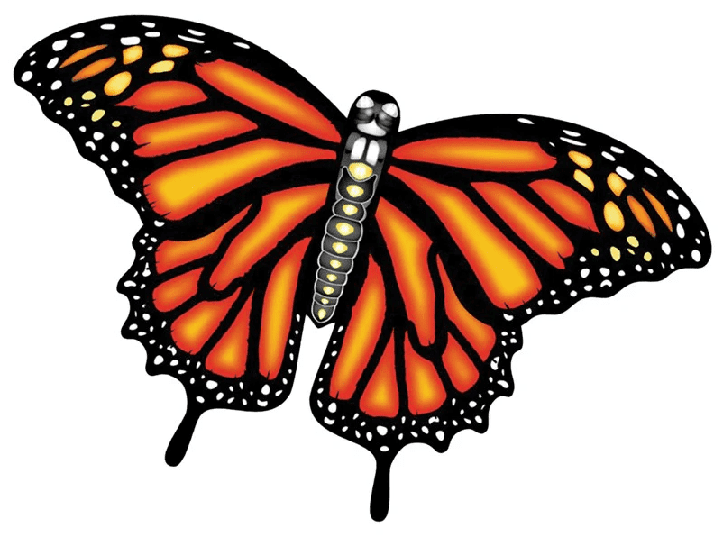 3-D Butterfly SuperSized Nylon Kite 60 inch Wingspan