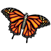 3-D Butterfly SuperSized Nylon Kite 60 inch Wingspan