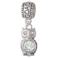 thumbnail image 1 of 3-D Clear AB Crystal Owl - Coach Charm Bead, 1 of 1