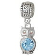 thumbnail image 1 of 3-D Light Blue & AB Crystal Owl - Best Friend Charm Bead, 1 of 1