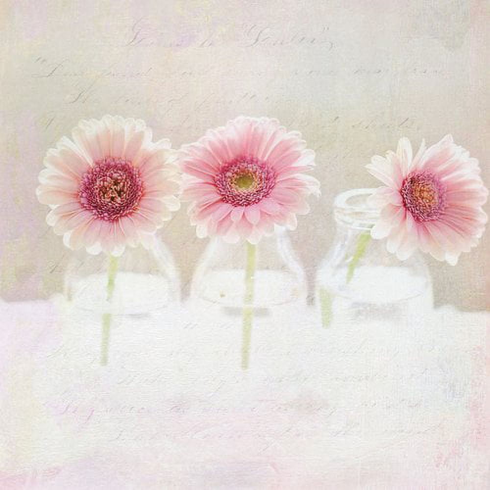 "3 Daisies" Painting Print on Wrapped Canvas