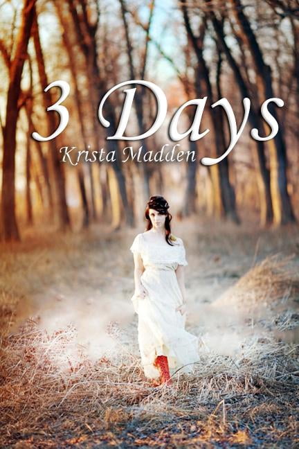 3 Days (Paperback) by Bethany Beard, Jeremy Beard, Stellar Shots Photography